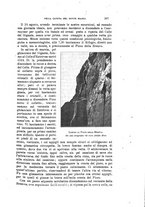 giornale/TO00194382/1902/unico/00000413