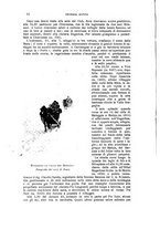 giornale/TO00194382/1903/unico/00000124