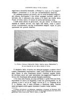 giornale/TO00194382/1903/unico/00000147