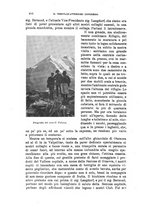 giornale/TO00194382/1903/unico/00000456