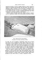 giornale/TO00194382/1903/unico/00000461