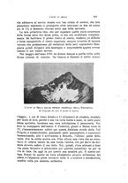 giornale/TO00194382/1904/unico/00000413