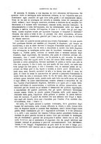 giornale/TO00194382/1905/unico/00000033