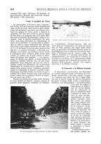 giornale/TO00194384/1933/unico/00000314