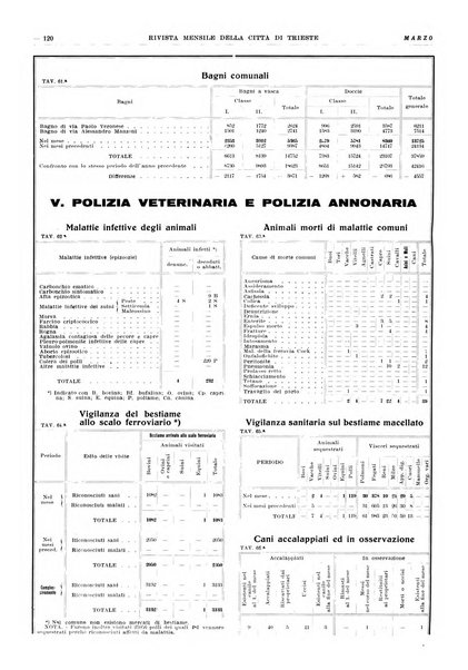 Rivista mensile della città di Trieste