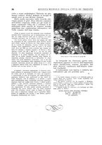 giornale/TO00194384/1935/unico/00000044