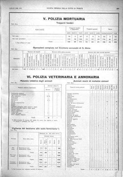 Rivista mensile della città di Trieste