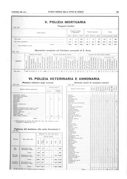 Rivista mensile della città di Trieste