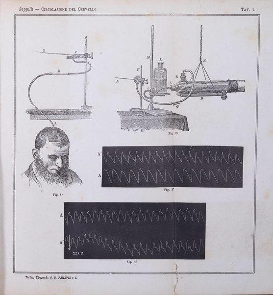 Rivista di filosofia scientifica