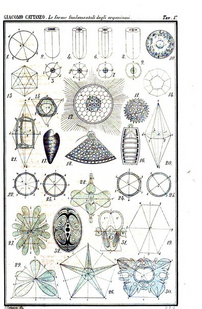 Rivista di filosofia scientifica