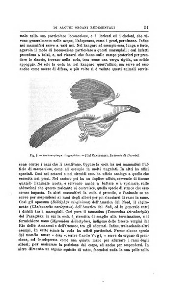 Rivista di filosofia scientifica