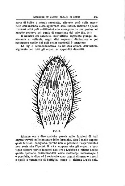 Rivista di filosofia scientifica