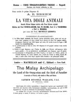 giornale/TO00194388/1891/unico/00000348