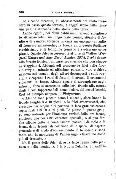 Rivista minima di scienze, lettere ed arti