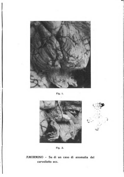 Rivista sanitaria siciliana organo degli Ordini sanitari della Sicilia