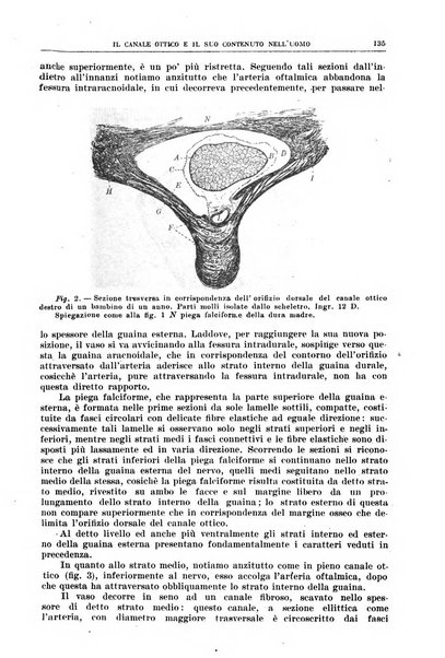 Rivista sanitaria siciliana organo degli Ordini sanitari della Sicilia