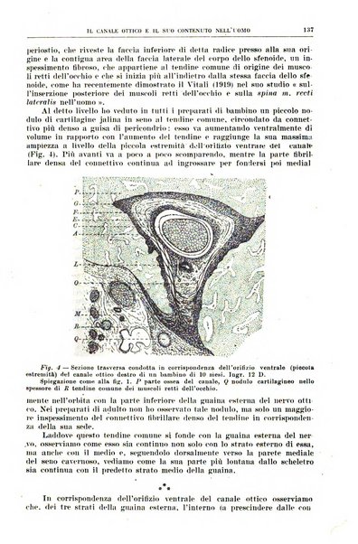 Rivista sanitaria siciliana organo degli Ordini sanitari della Sicilia