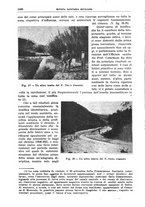 giornale/TO00194430/1926/unico/00001144