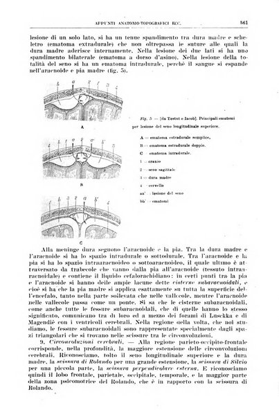 Rivista sanitaria siciliana organo degli Ordini sanitari della Sicilia