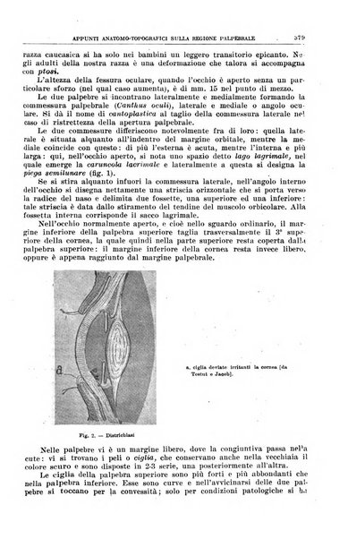 Rivista sanitaria siciliana organo degli Ordini sanitari della Sicilia