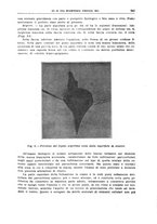 giornale/TO00194430/1930/V.1/00000497