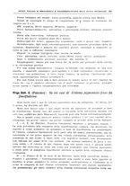 giornale/TO00194430/1931/V.2/00000039