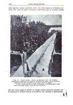 giornale/TO00194430/1931/V.2/00000310