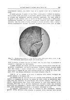 giornale/TO00194430/1932/V.1/00000093