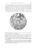 giornale/TO00194430/1933/V.1/00000321