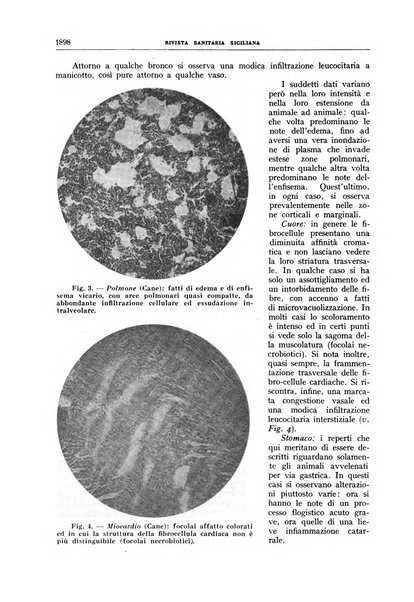 Rivista sanitaria siciliana organo degli Ordini sanitari della Sicilia