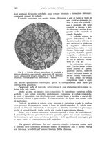 giornale/TO00194430/1934/V.2/00001008