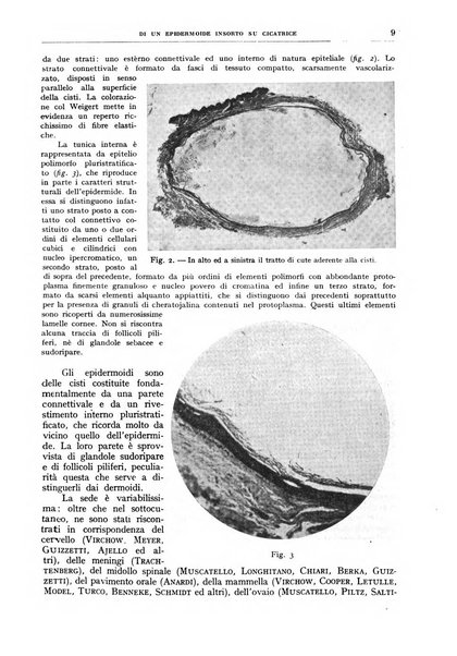 Rivista sanitaria siciliana organo degli Ordini sanitari della Sicilia