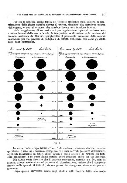 Rivista sanitaria siciliana organo degli Ordini sanitari della Sicilia