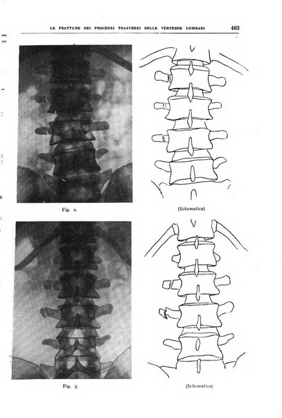 Rivista sanitaria siciliana organo degli Ordini sanitari della Sicilia