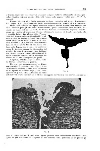 Rivista sanitaria siciliana organo degli Ordini sanitari della Sicilia