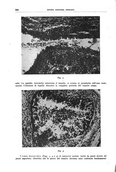 Rivista sanitaria siciliana organo degli Ordini sanitari della Sicilia