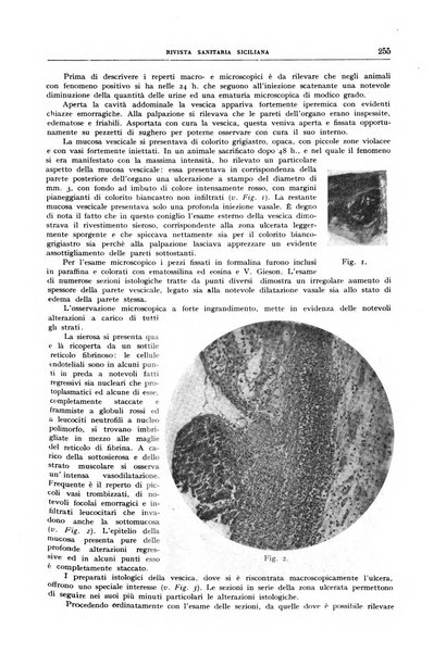 Rivista sanitaria siciliana organo degli Ordini sanitari della Sicilia