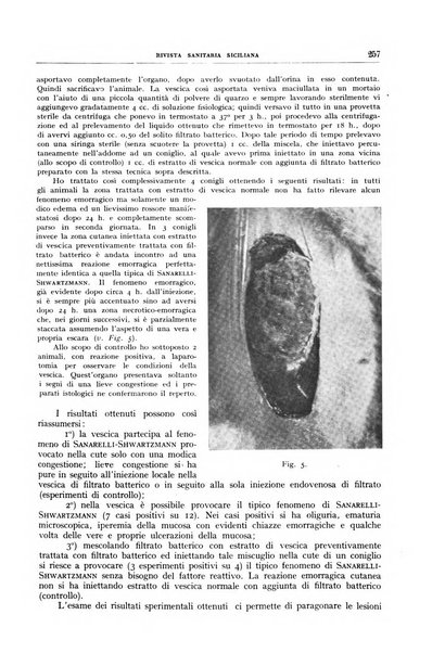 Rivista sanitaria siciliana organo degli Ordini sanitari della Sicilia