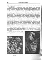 giornale/TO00194430/1938/unico/00000874