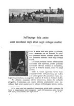 giornale/TO00194435/1898/unico/00000345