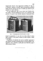 giornale/TO00194436/1885/unico/00000427