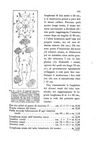 Rivista scientifico-industriale delle principali scoperte ed invenzioni fatte nelle scienze e nelle industrie