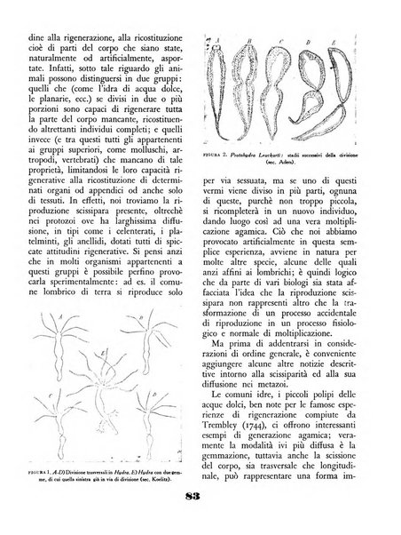 Il saggiatore rivista mensile di attualità scientifica