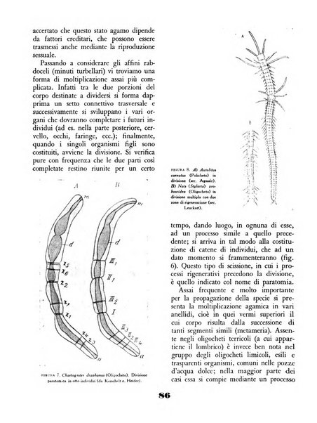 Il saggiatore rivista mensile di attualità scientifica