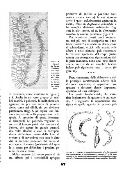 Il saggiatore rivista mensile di attualità scientifica