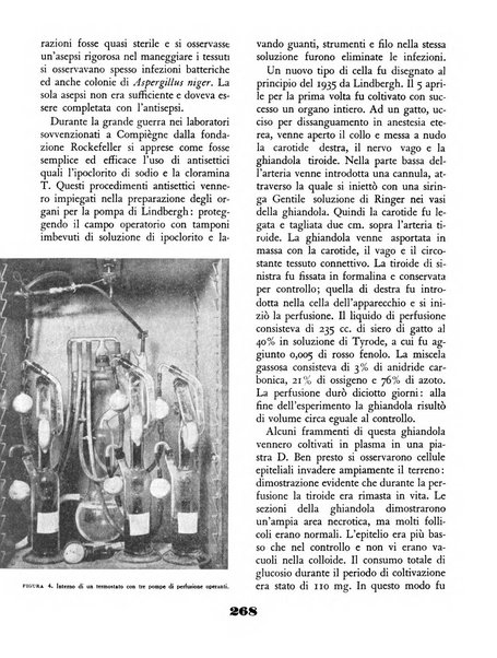 Il saggiatore rivista mensile di attualità scientifica