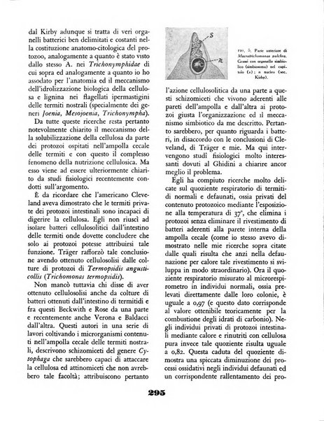 Il saggiatore rivista mensile di attualità scientifica