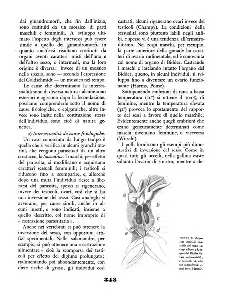 Il saggiatore rivista mensile di attualità scientifica