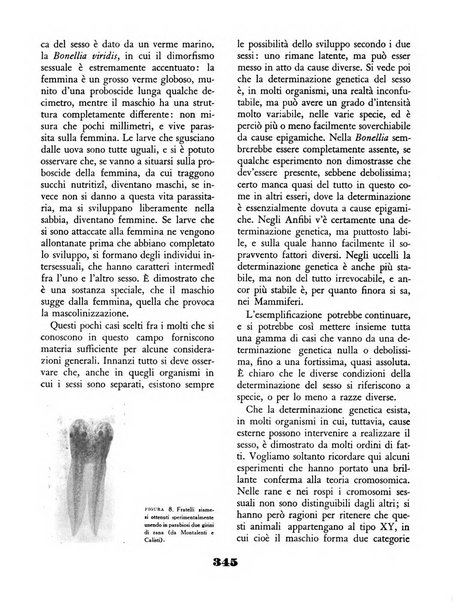 Il saggiatore rivista mensile di attualità scientifica