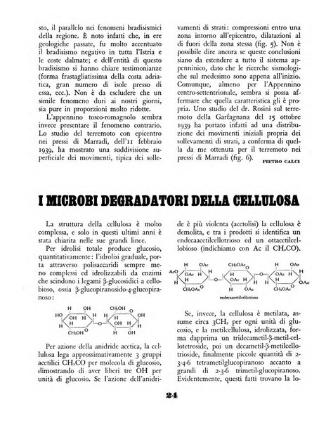 Il saggiatore rivista mensile di attualità scientifica